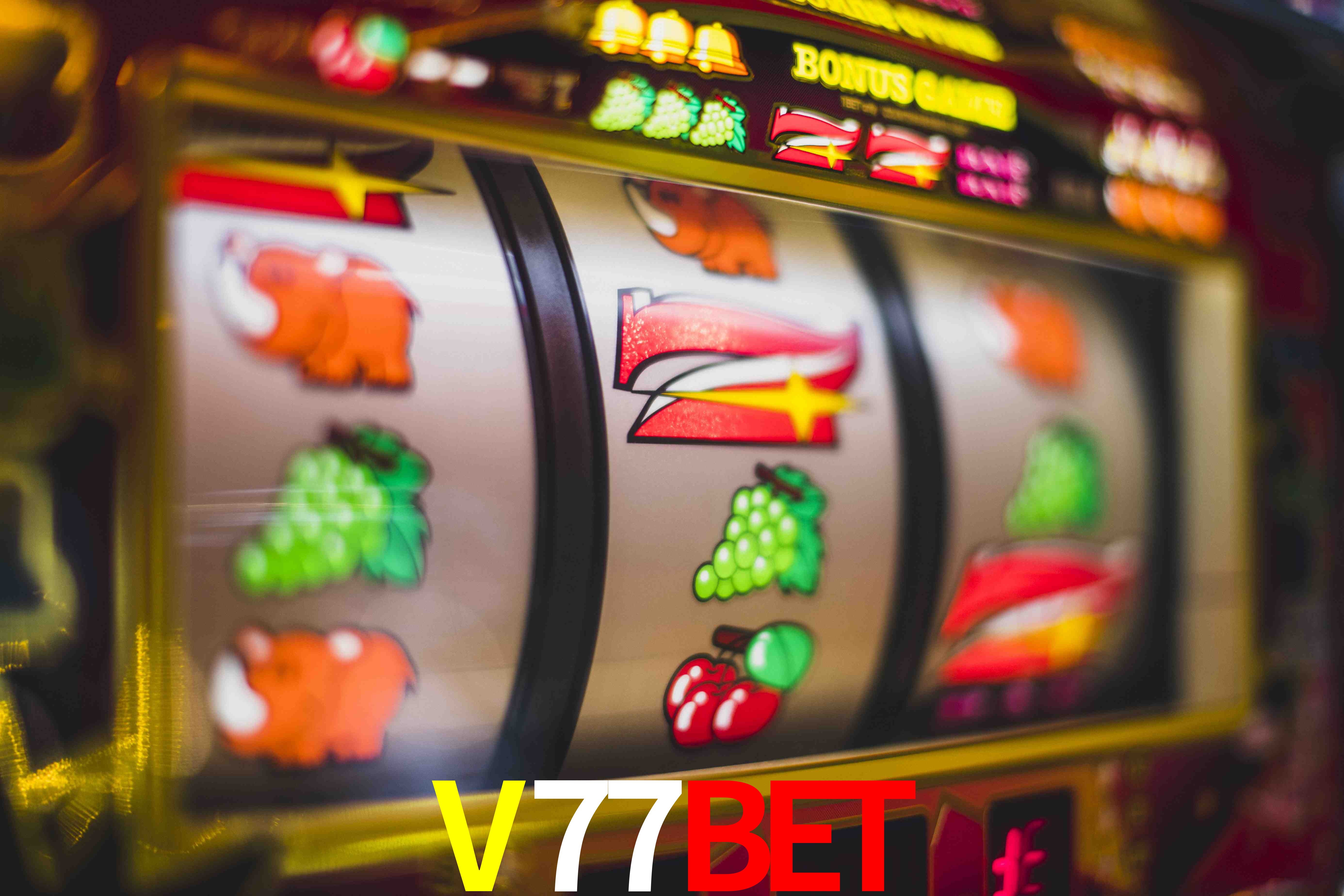Basketball Betting V77BET
